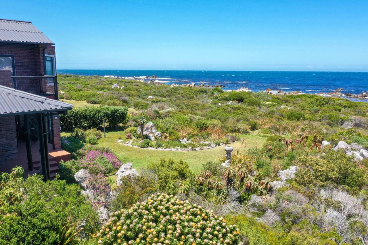 The Amaryllis Luxury Apartment Bella Donna Bettyʼs Bay Exteriör bild